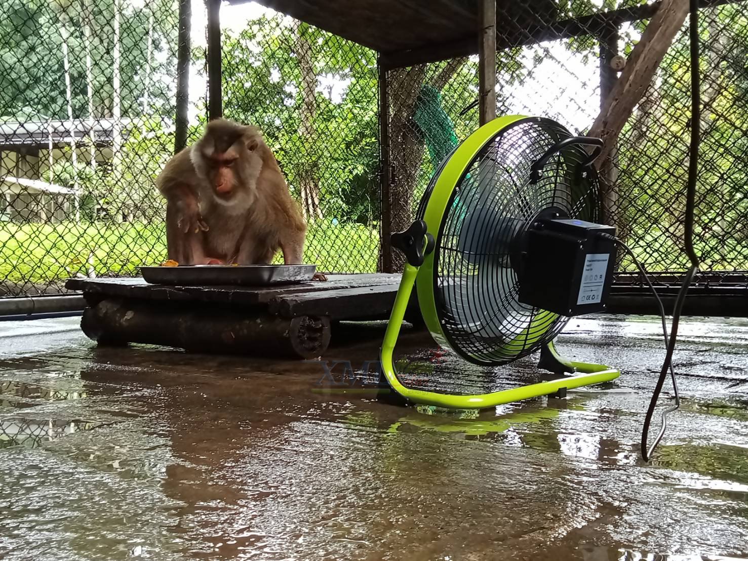 พัดลมโซล่าเซลล์ 12 นิ้ว รุ่น SP-SF-818-A