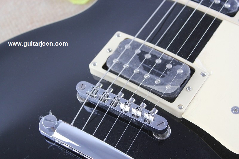 Gibsun Les Paul Standard