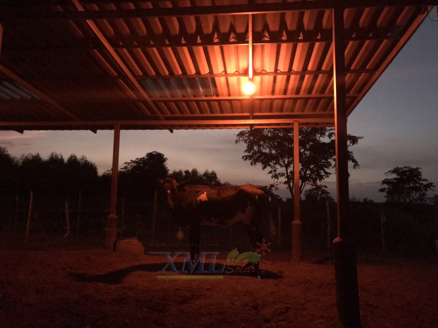 ไฟตุ้มโซล่าเซลล์ชนิดไล่ยุง รุ่น 150w (แสงสีส้ม)(แผงใหญ่)