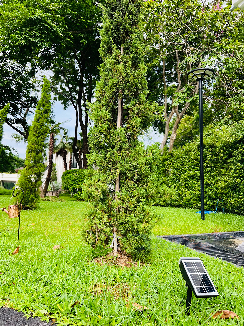 สปอร์ตไลท์ปักสนามโซล่าเซลล์ รุ่น SSL-001