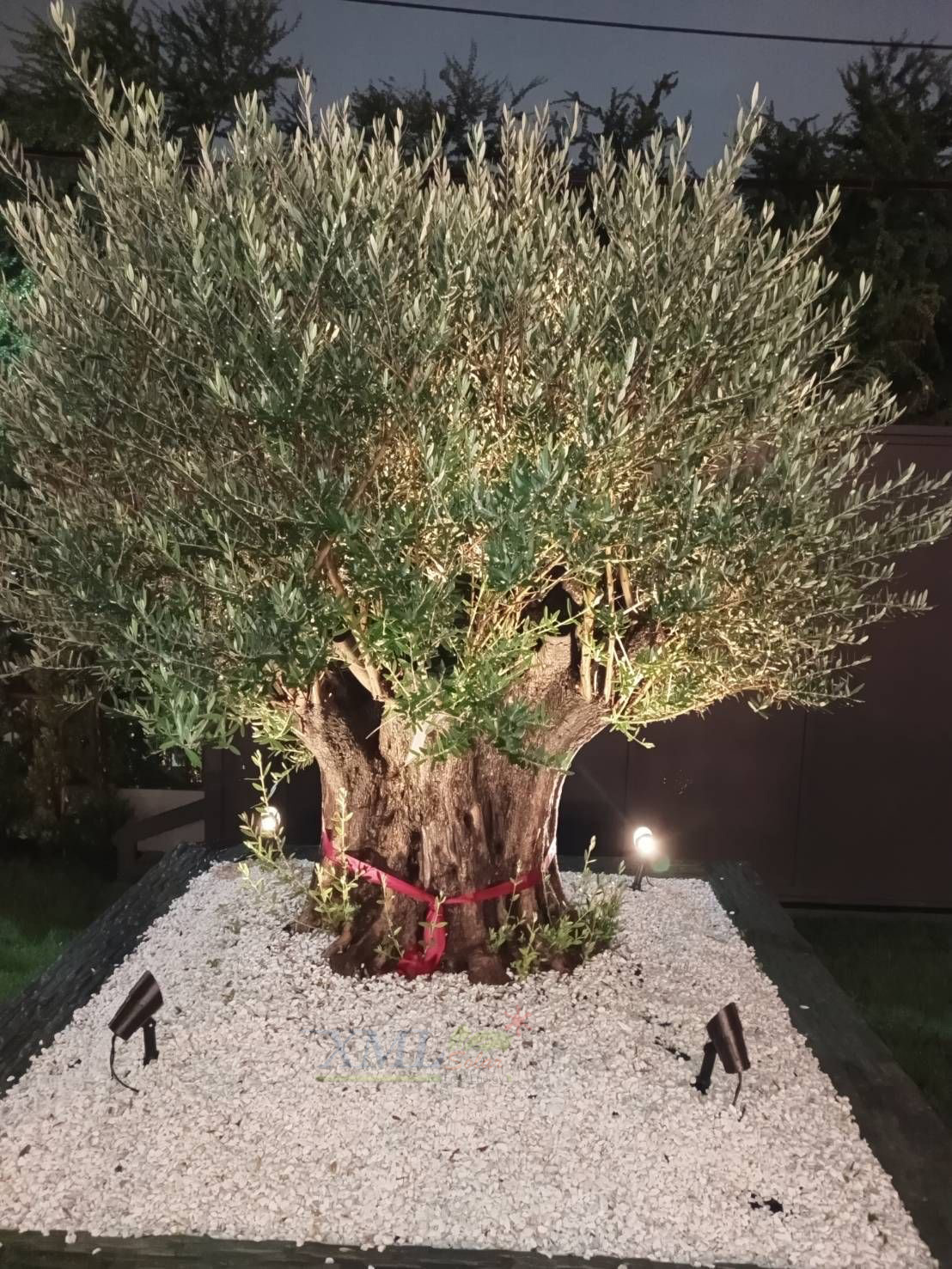 โคมไฟปักสนามโซล่าเซลล์ แพ็ค 4 ดวง รุ่น MD-SSL88 (แสง : เหลืองวอมไวท์)