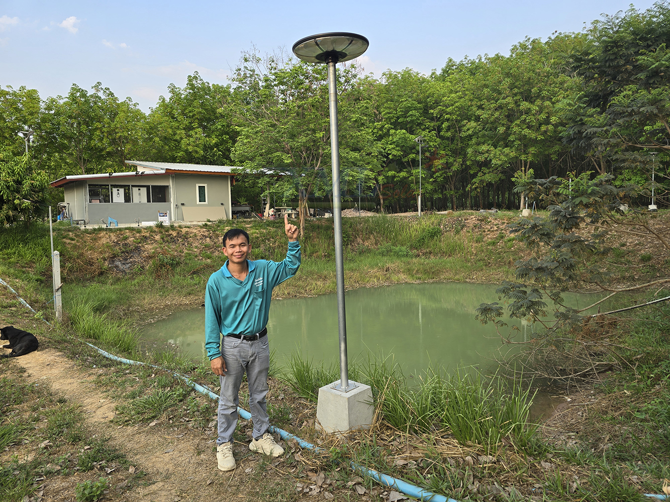 โคมไฟถนนโซล่าเซลล์ UFO ทรงกลม รุ่น MD-SLT-39-500W Plus (แสง : ขาว)