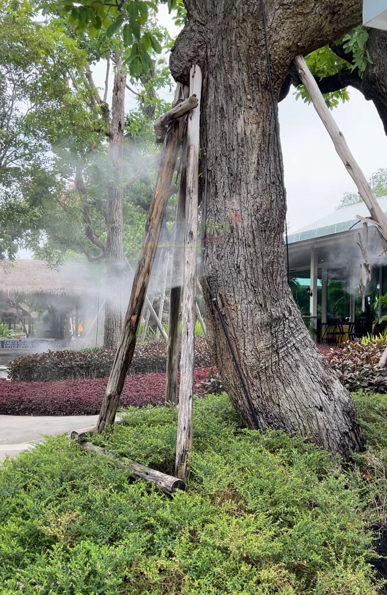 ชุดพ่นหมอก รดน้ำต้นไม้อัจฉริยะ คอนโทรลผ่านมือถือได้ (wifi) + แผงโซล่าเซลล์ 50W