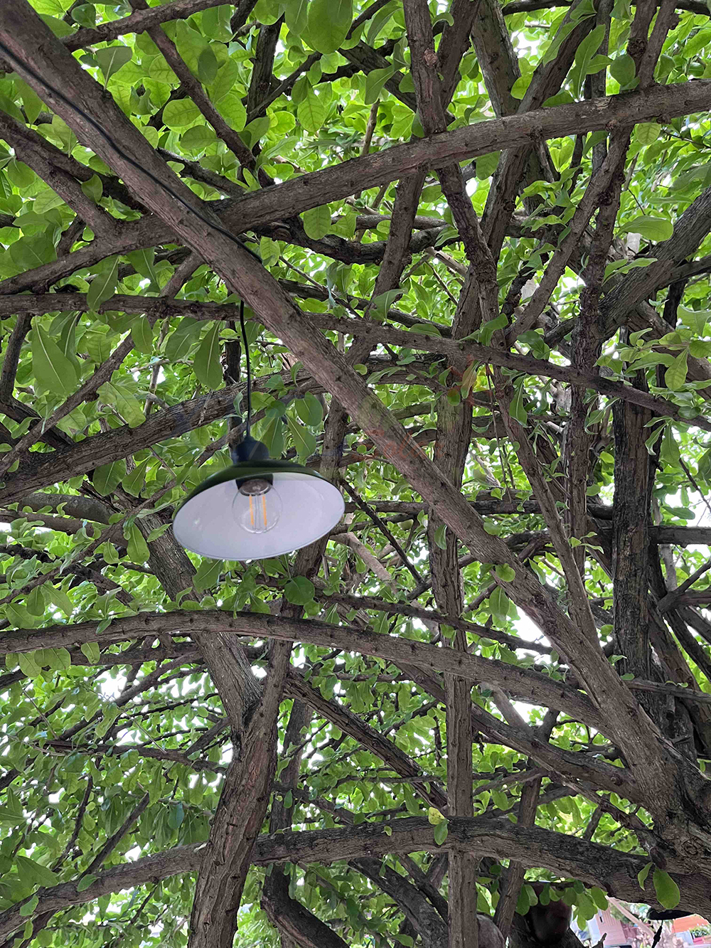 โคมไฟโซล่าเซลล์ ติดเพดาน รุ่นโคมวินเทจ 150 Lumen (แสง เหลืองวอมไวท์)