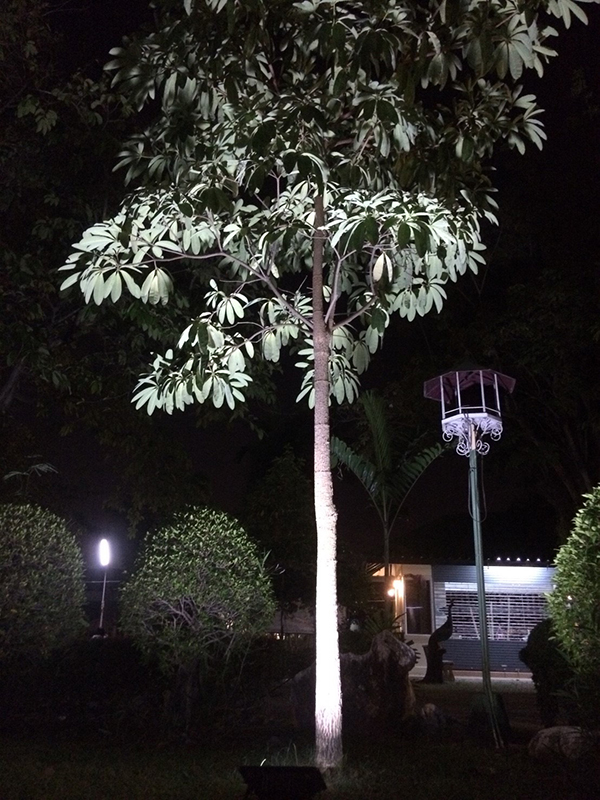 ไฟสปอตไลท์โซล่าเซลล์ 120W SLIM (แสง : ขาว)