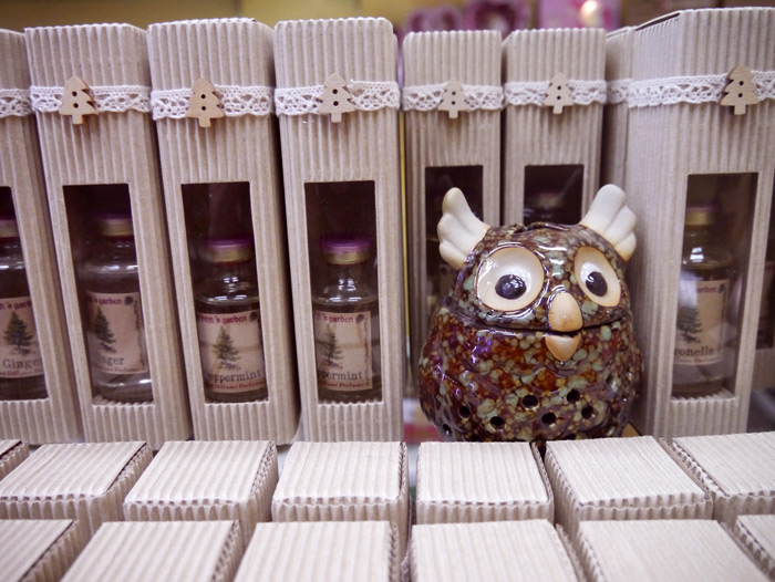 เซ็ตน้ำหอมกลิ่นตะไคร้หอม(Citronella) +ก้านไม้กระจายกลิ่น 45cc.