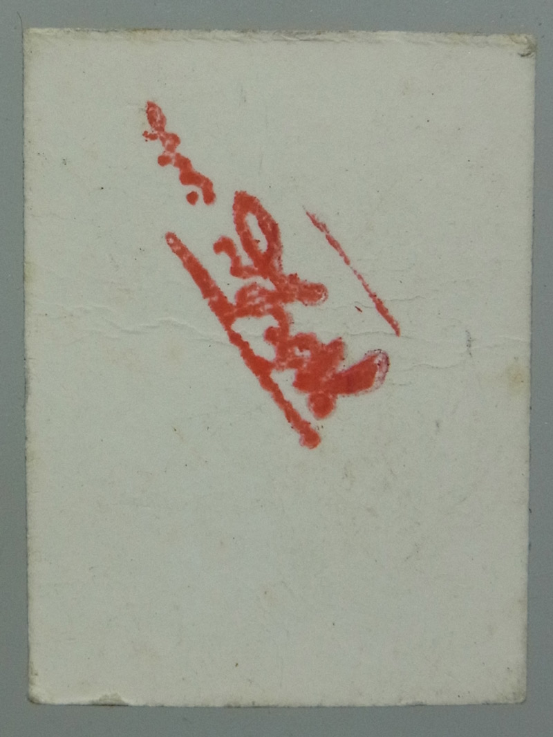 พระนาคปรกใบมะขาม รุ่นแรก หลวงปู่เจือ วัดกลางบางแก้ว ปี2549