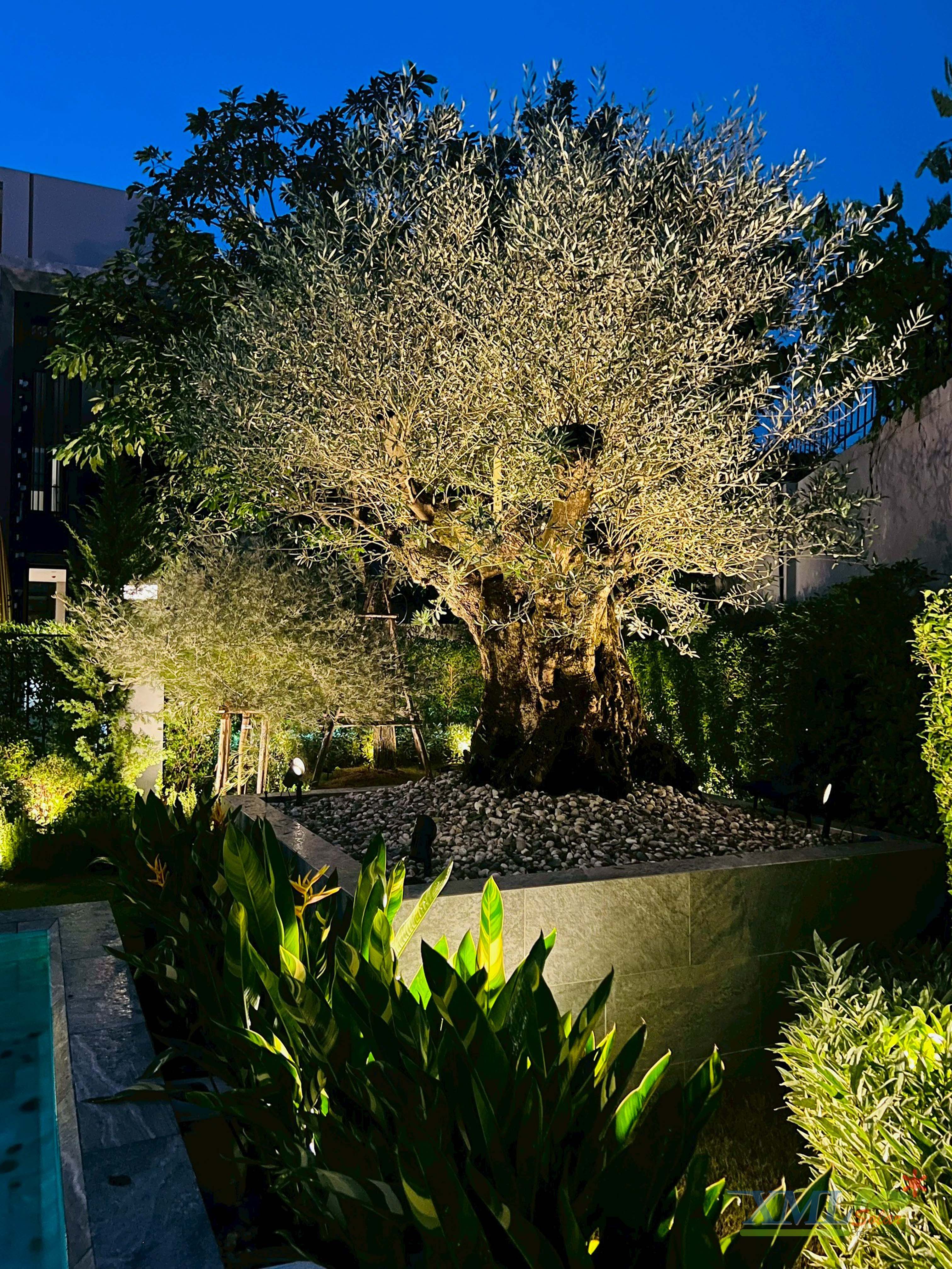 โคมไฟปักสนามโซล่าเซลล์ แพ็ค 4 ดวง รุ่น MD-SSL88 (แสง : เหลืองวอมไวท์)