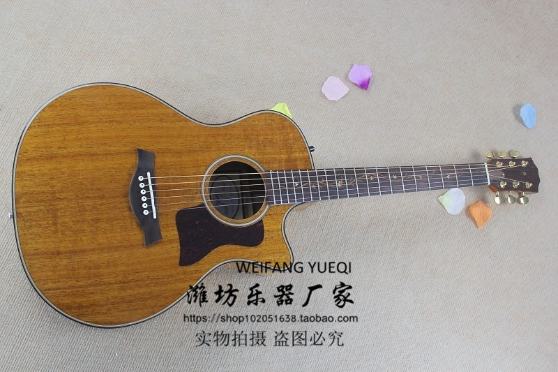 TaylorStyle Acacia24CE