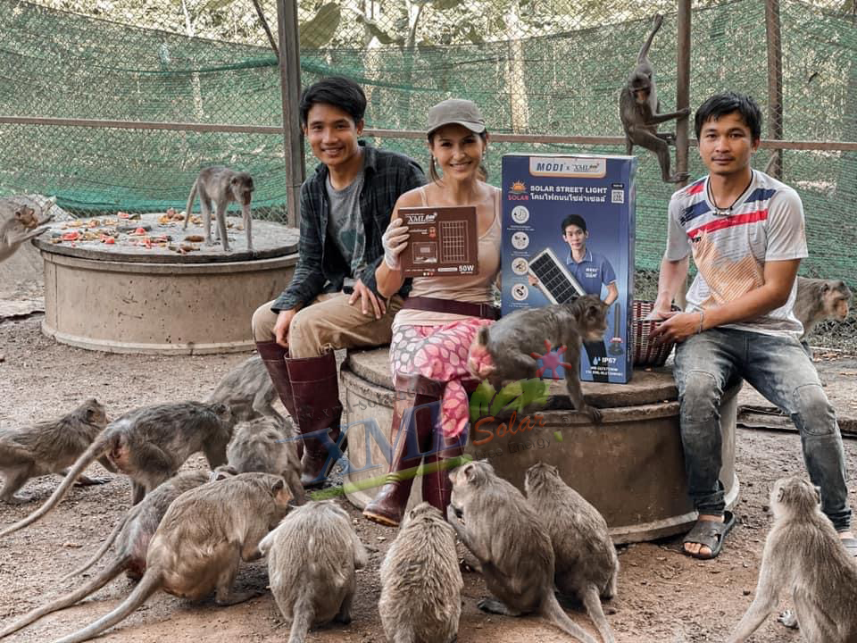 ไฟสปอตไลท์โซล่าเซลล์ 50 Watt กล่องสีน้ำตาล (เปิดได้ 3 แสง)