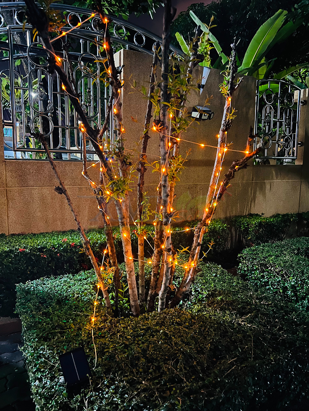 ไฟกระพริบโซล่าเซลล์ รุ่นใหม่สายขาว ยาว 10 เมตร (เเสง : เหลืองเข้ม)