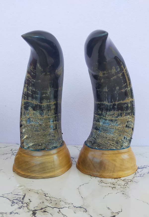 เขาวัวคู่ฐานไม้ สูง 9 นิ้ว