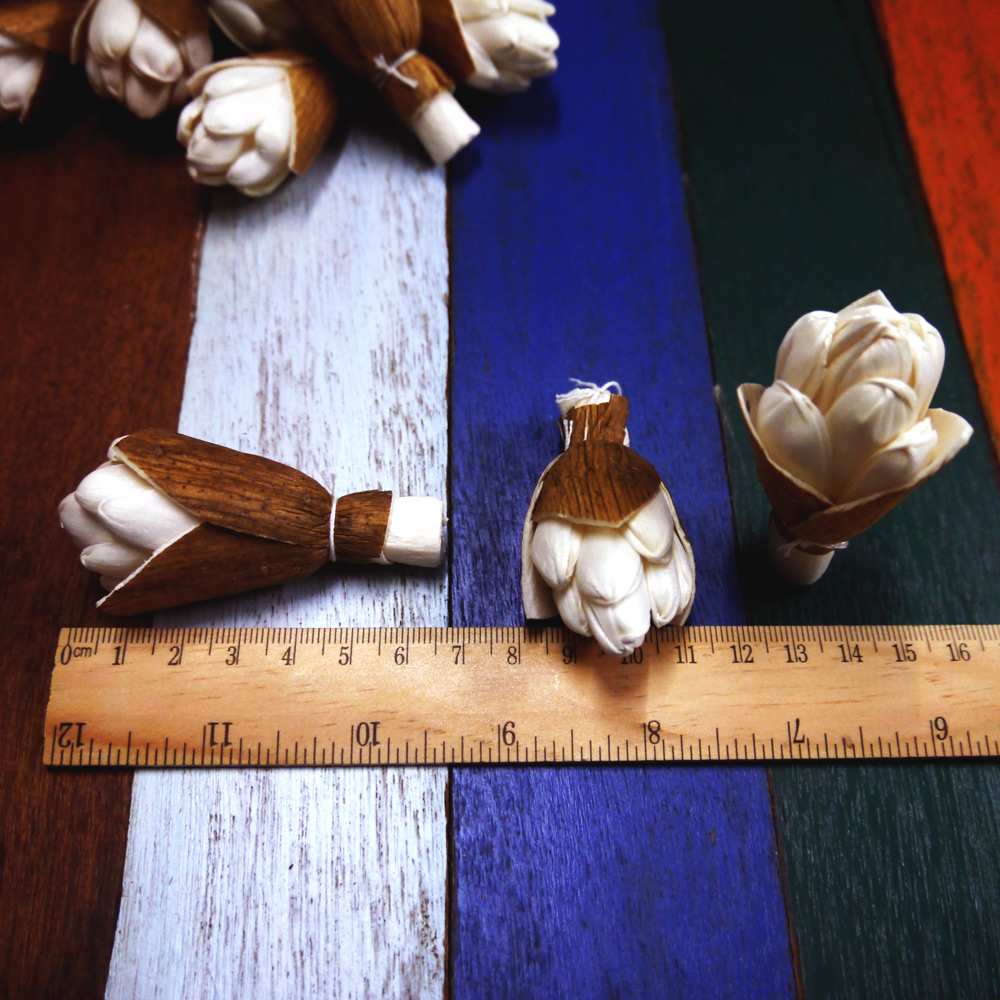 ดอกขิงแดง 3x4.5cm