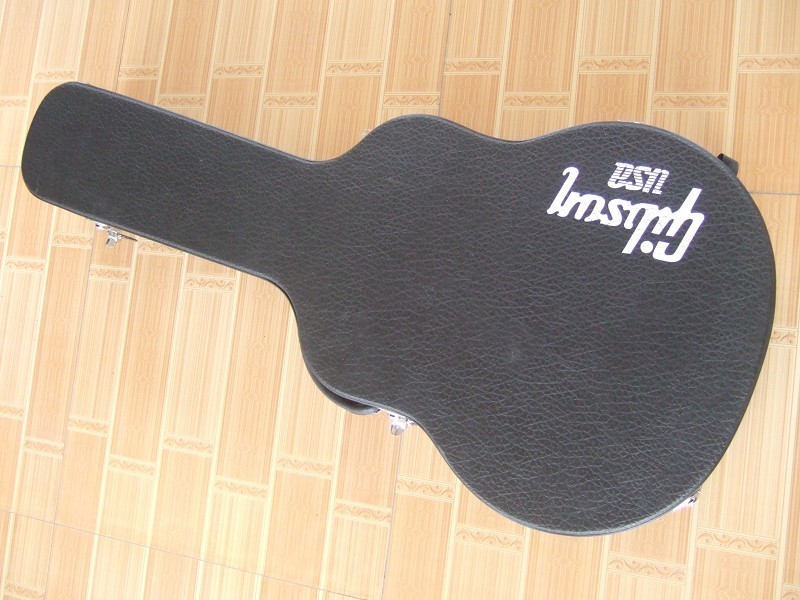 Gibson Case