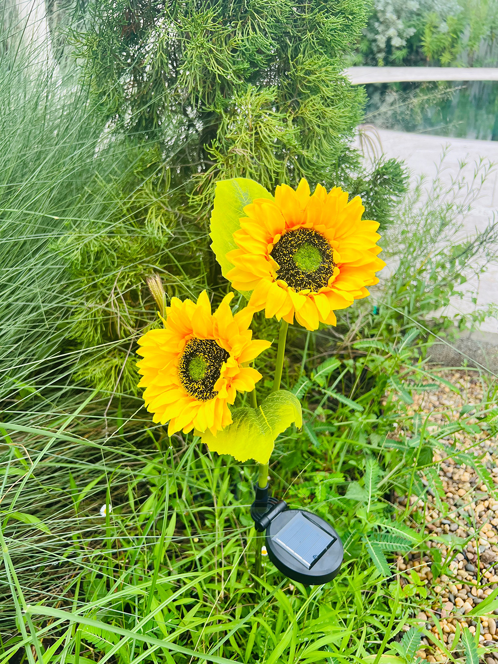 ไฟปักสนามโซล่าเซลล์ ทรงทานตะวัน 2 ดอก (แสง : เหลืองวอมไวท์)(1 แถม 1)