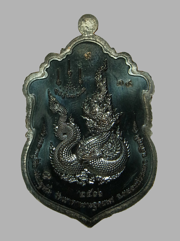 เหรียญเสมานาคราชบันดาลทรัพย์ หลวงปู่จื่อ ปี2566