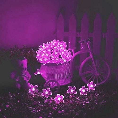 ไฟกระพริบโซล่าเซลล์ รูป ดอกไม้ 50 ดอก (เเสง : สีชมพู)