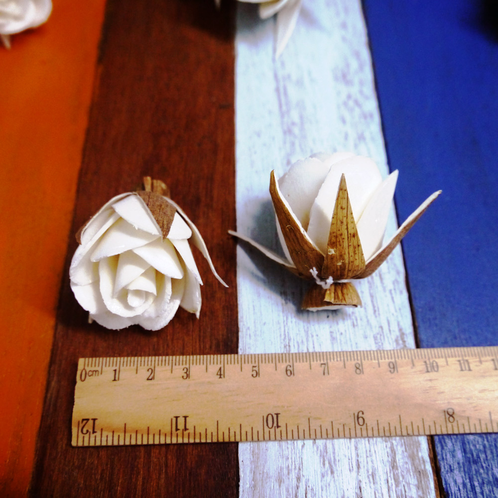 ดอกกุหลาบมีกลีบเลี้ยง 3+ cm Dia.