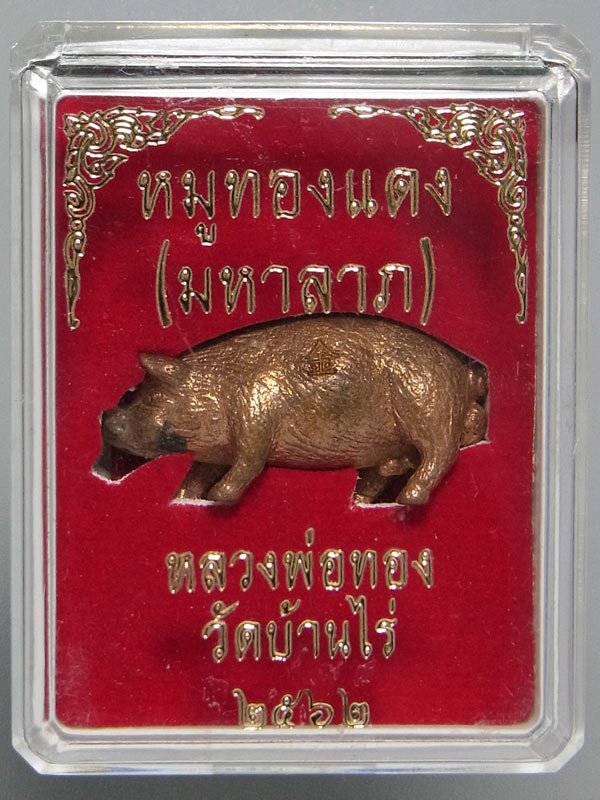 หมูทองแดง หลวงพ่อทอง วัดบ้านไร่ ปี2562