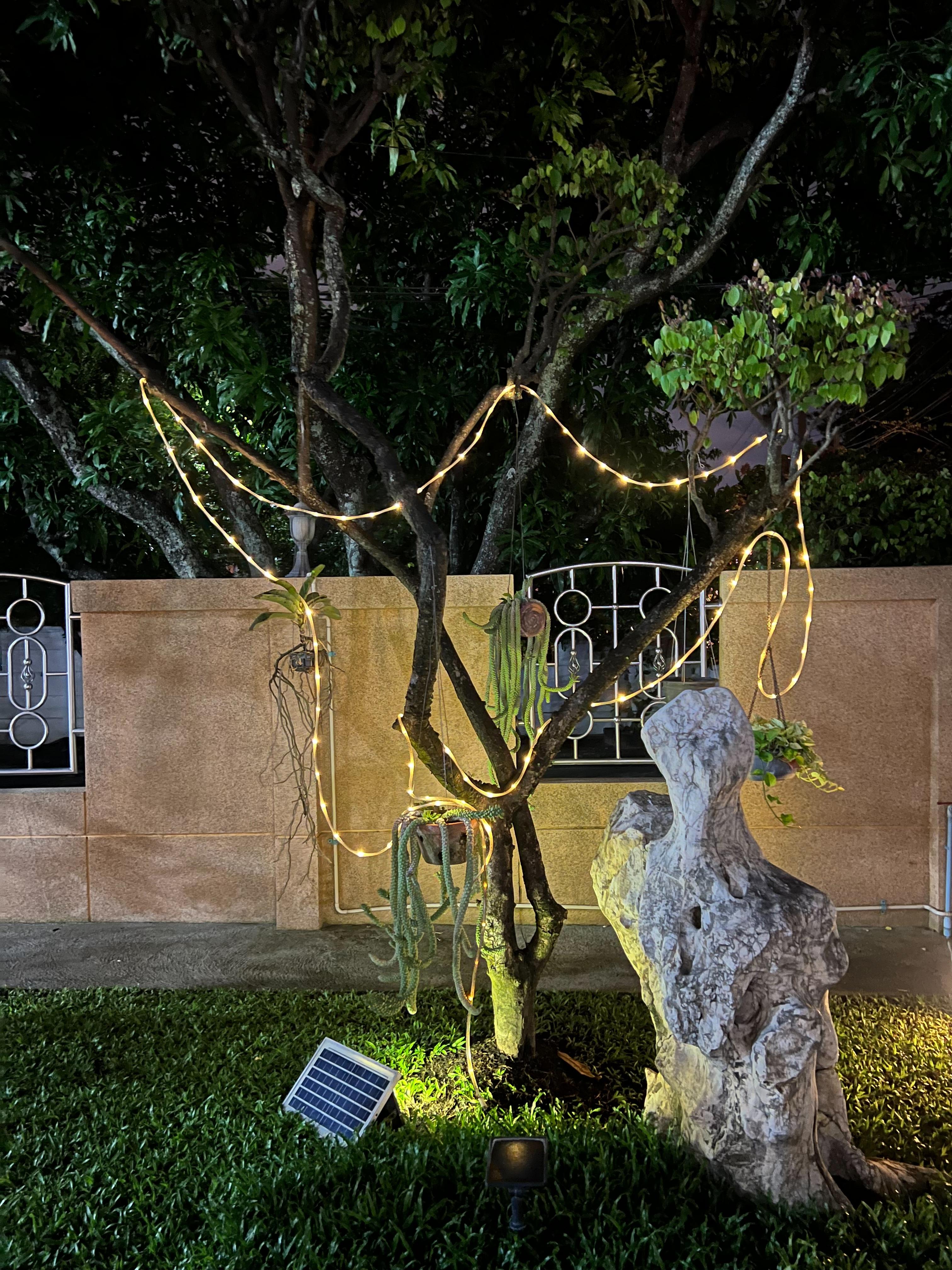 ไฟกระพริบโซล่าเซลล์ รุ่น หลอดยาง 10 เมตร (แสง : เหลืองวอมไวท์)