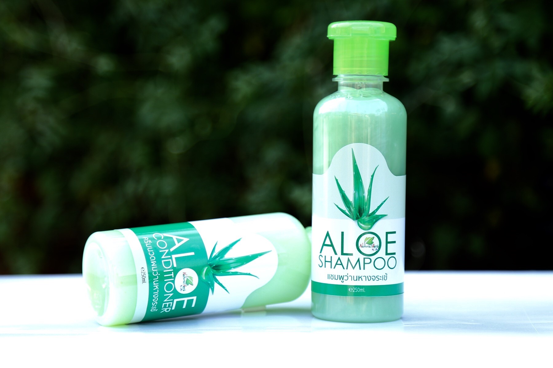 ฉลากแชมพู ครีมนวดผม