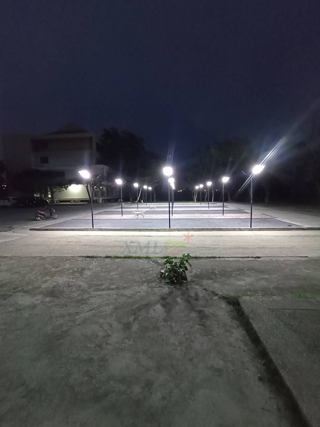 โคมไฟถนนโซล่าเซลล์ รุ่น ECO-BM24 15000W (24 ช่อง)(แสง : ขาว)