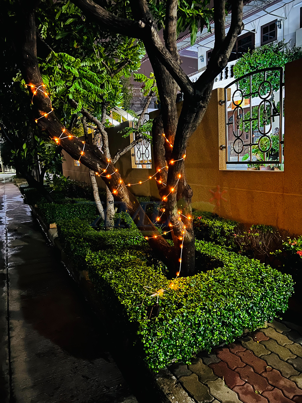 ไฟกระพริบโซล่าเซลล์ รุ่นใหม่สายขาว ยาว 10 เมตร (เเสง : เหลืองเข้ม)