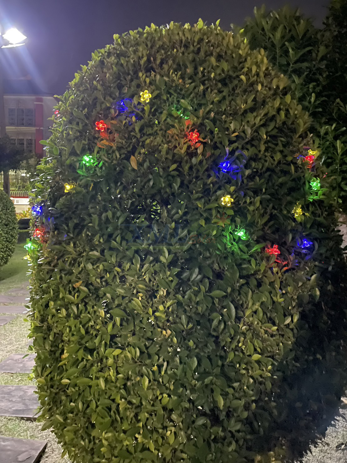 ไฟกระพริบโซล่าเซลล์ รูป ดอกไม้ 50 ดอก (เเสง : ผสม 4 สี)