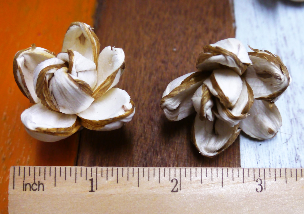 ดอกโลตัสลาย 3.5cm Dia.