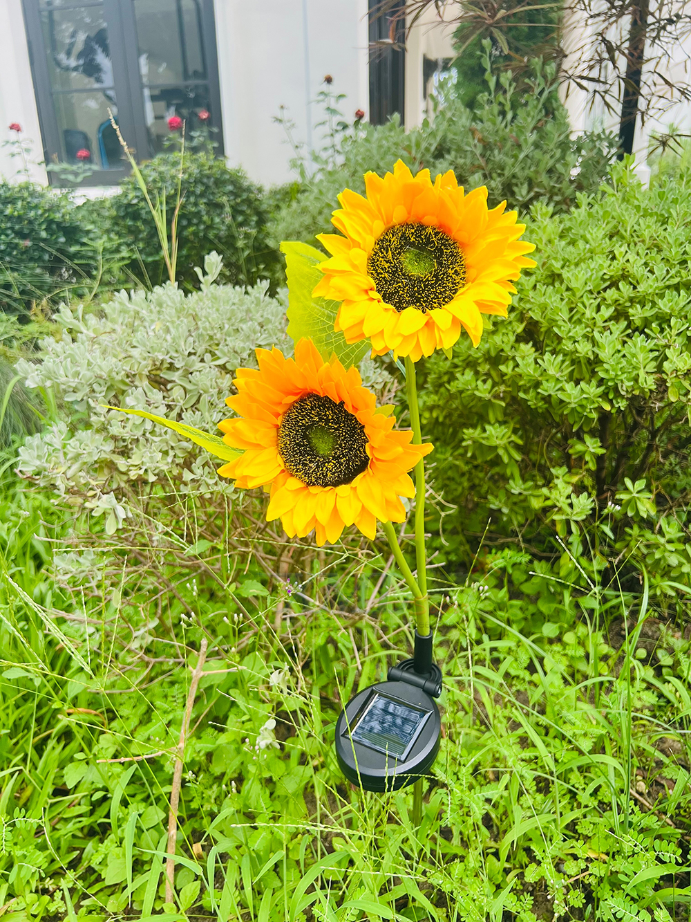 ไฟปักสนามโซล่าเซลล์ ทรงทานตะวัน 2 ดอก (แสง : เหลืองวอมไวท์)(1 แถม 1)