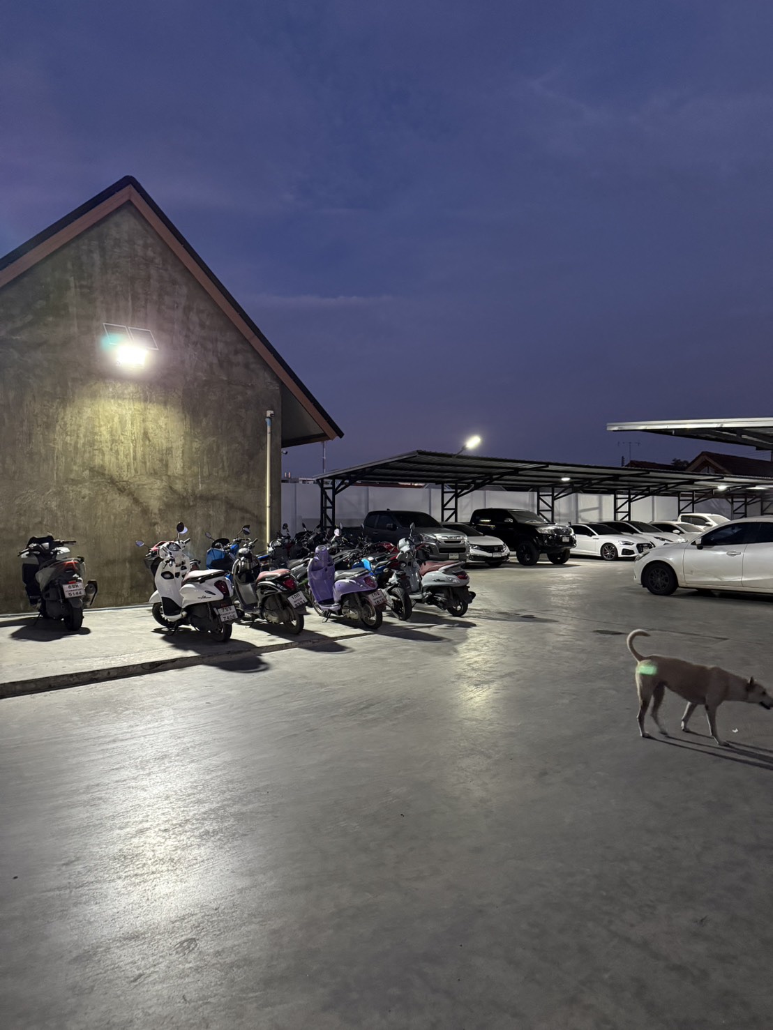 ไฟสปอตไลท์โซล่าเซลล์ 1000 Watt กล่องสีน้ำตาล (เปิดได้ 3 แสง)