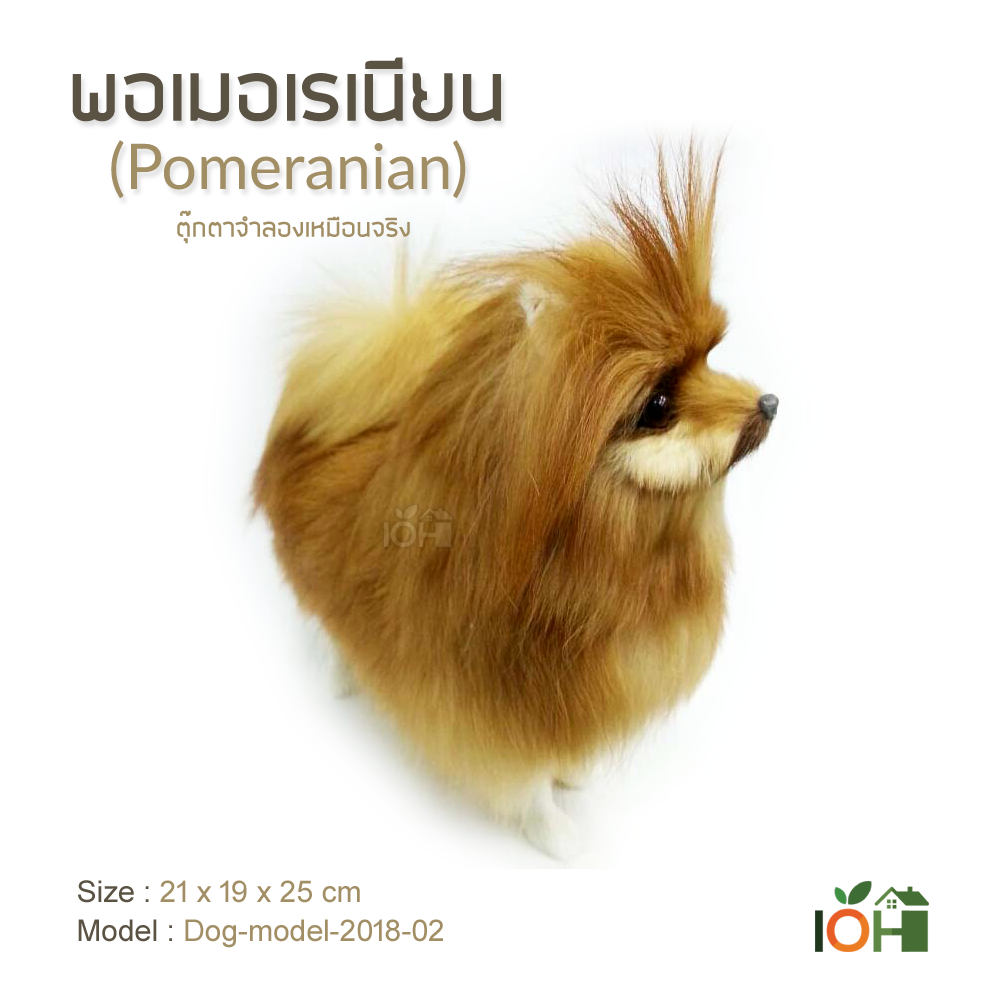 พอเมอเรเนียน Model02 ตุ๊กตาจำลองเหมือนจริง (Pre-Order)