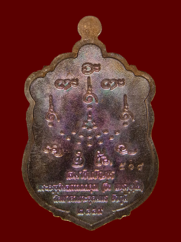 เหรียญเสมาชินบัญชร หลวงปู่จื่อ ปี2559