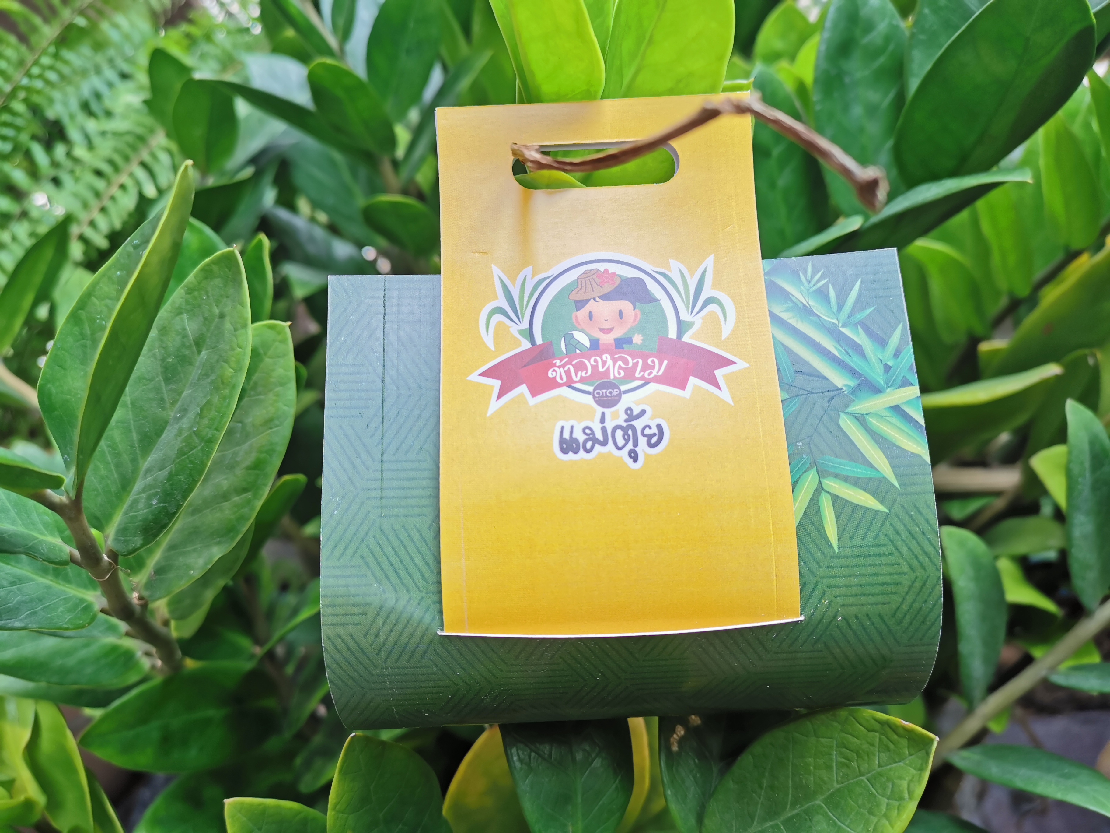 กล่องเปลือย สายคาดกระปุกครีม ขวดครีม