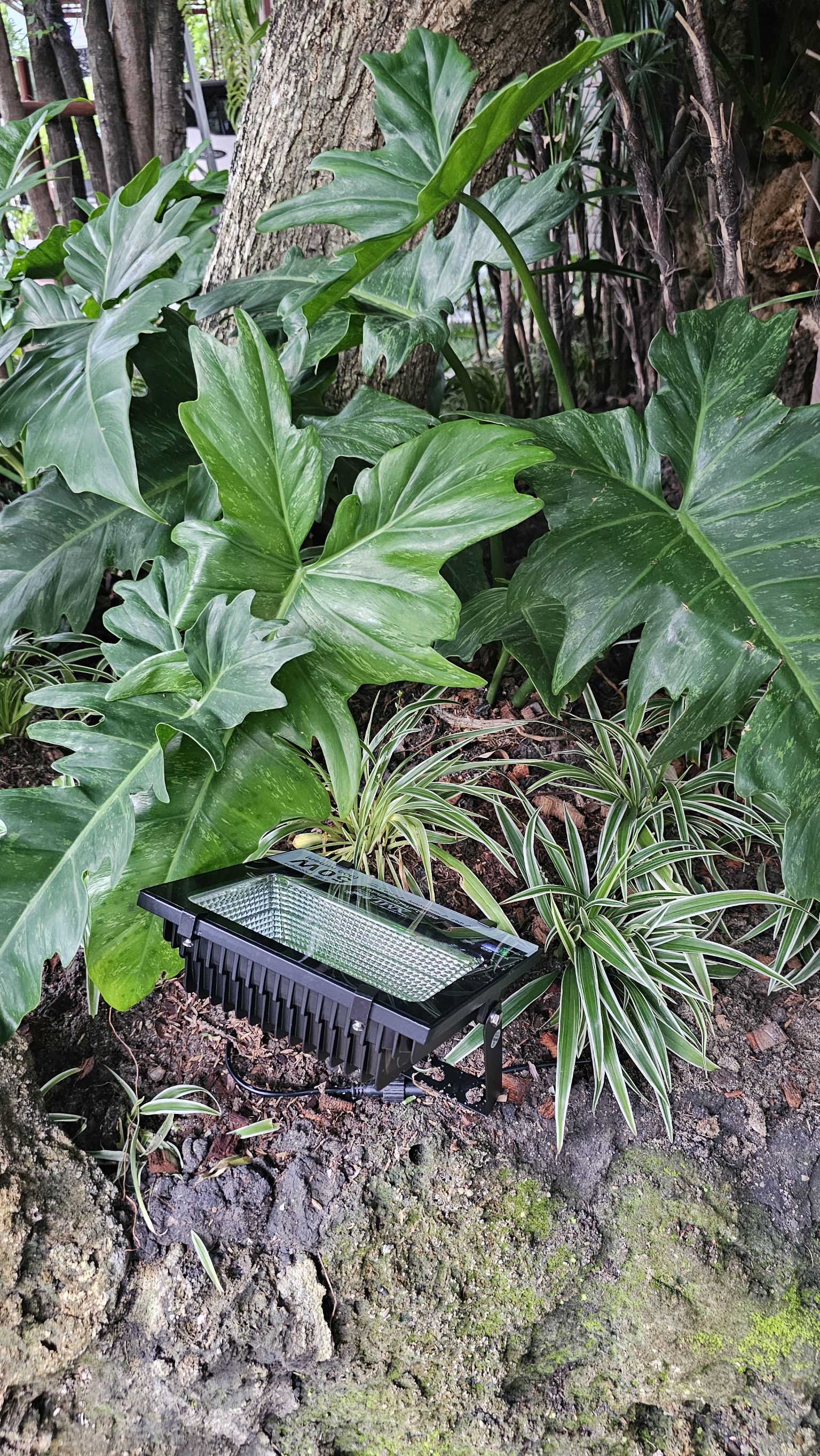 ไฟสปอตไลท์โซล่าเซลล์ 50 Watt กล่องสีน้ำตาล (เปิดได้ 3 แสง)