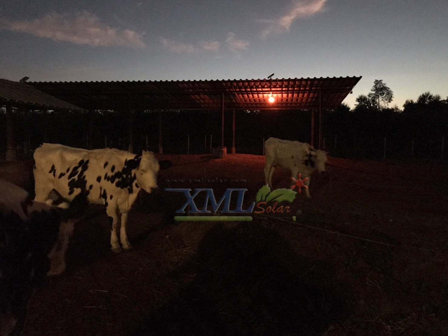 ไฟตุ้มโซล่าเซลล์ชนิดไล่ยุง รุ่น 150w (แสงสีส้ม)(แผงใหญ่)