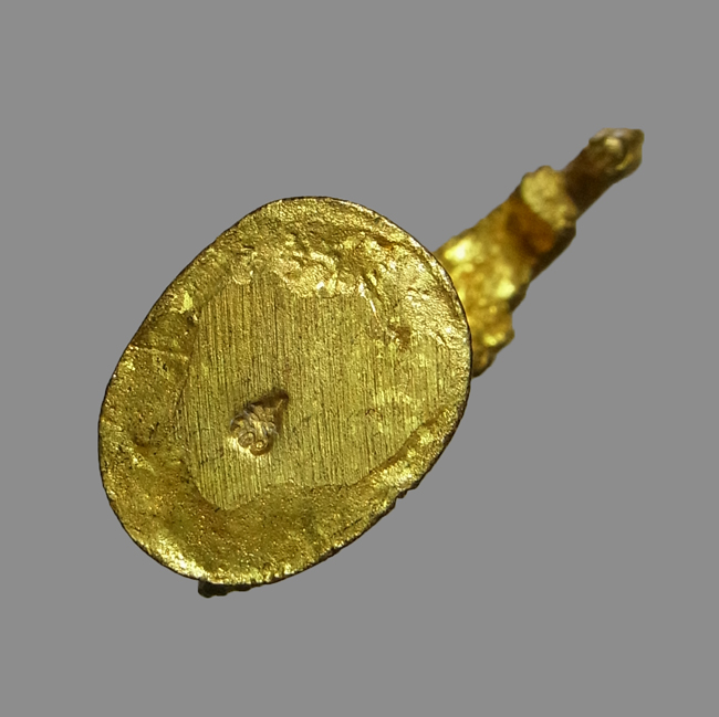 ไก่โชคดี หลวงพ่อรวย วัดตะโก ปี2559