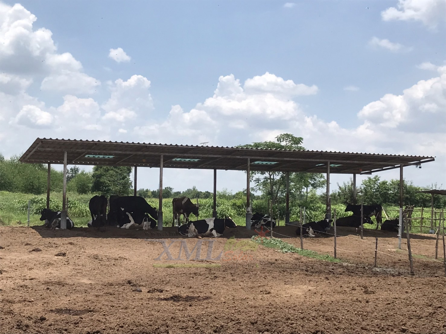 ไฟตุ้มโซล่าเซลล์ชนิดไล่ยุง รุ่น 150w (แสงสีส้ม)(แผงใหญ่)