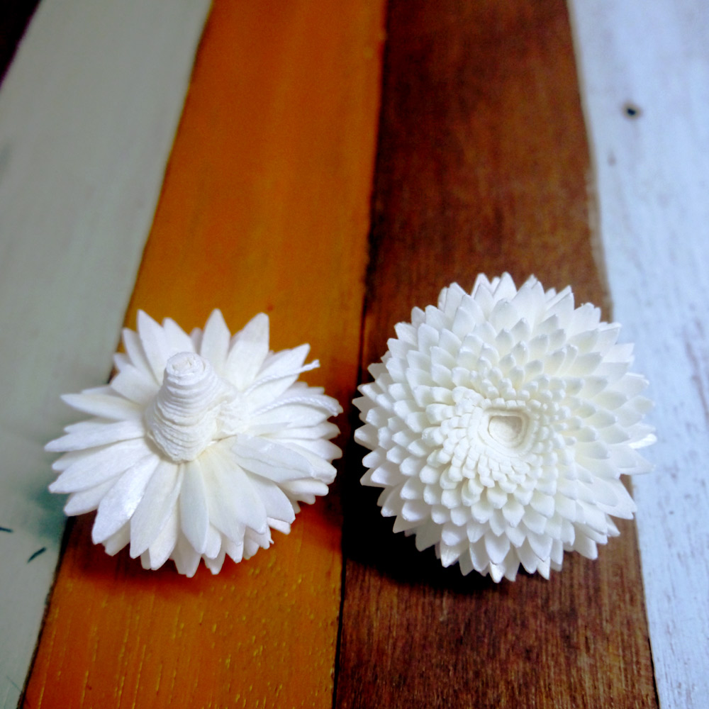 ดอกเยียบีร่า 5cm Dia.