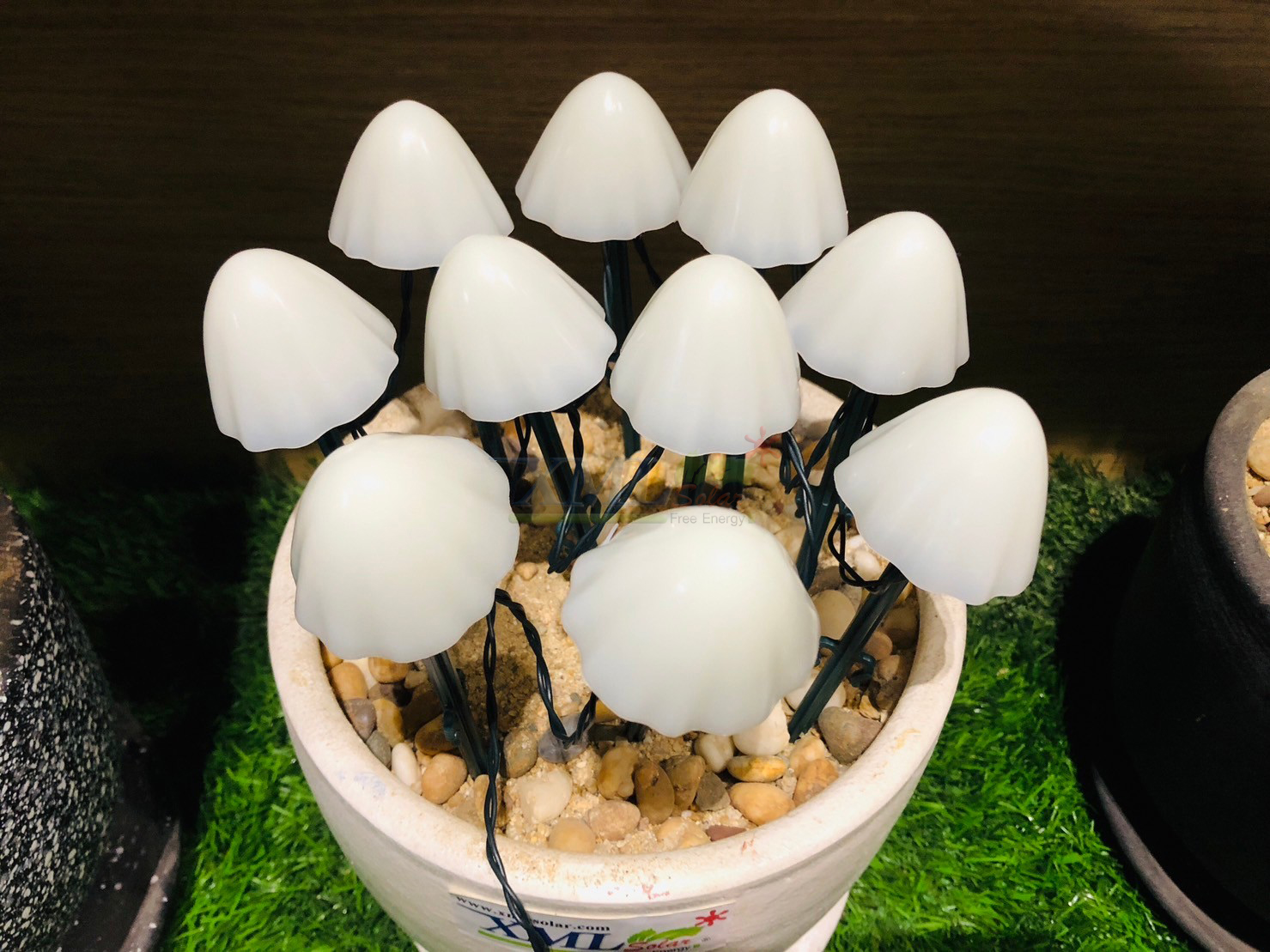 ไฟปักสนามโซล่าเซลล์ รูปเห็ด