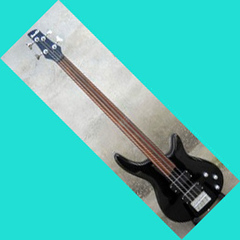 fretless electric bass