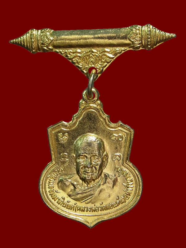 เหรียญหลวงพ่อวัดดอนตัน หลังเจ้าพญาผานอง ปี2521