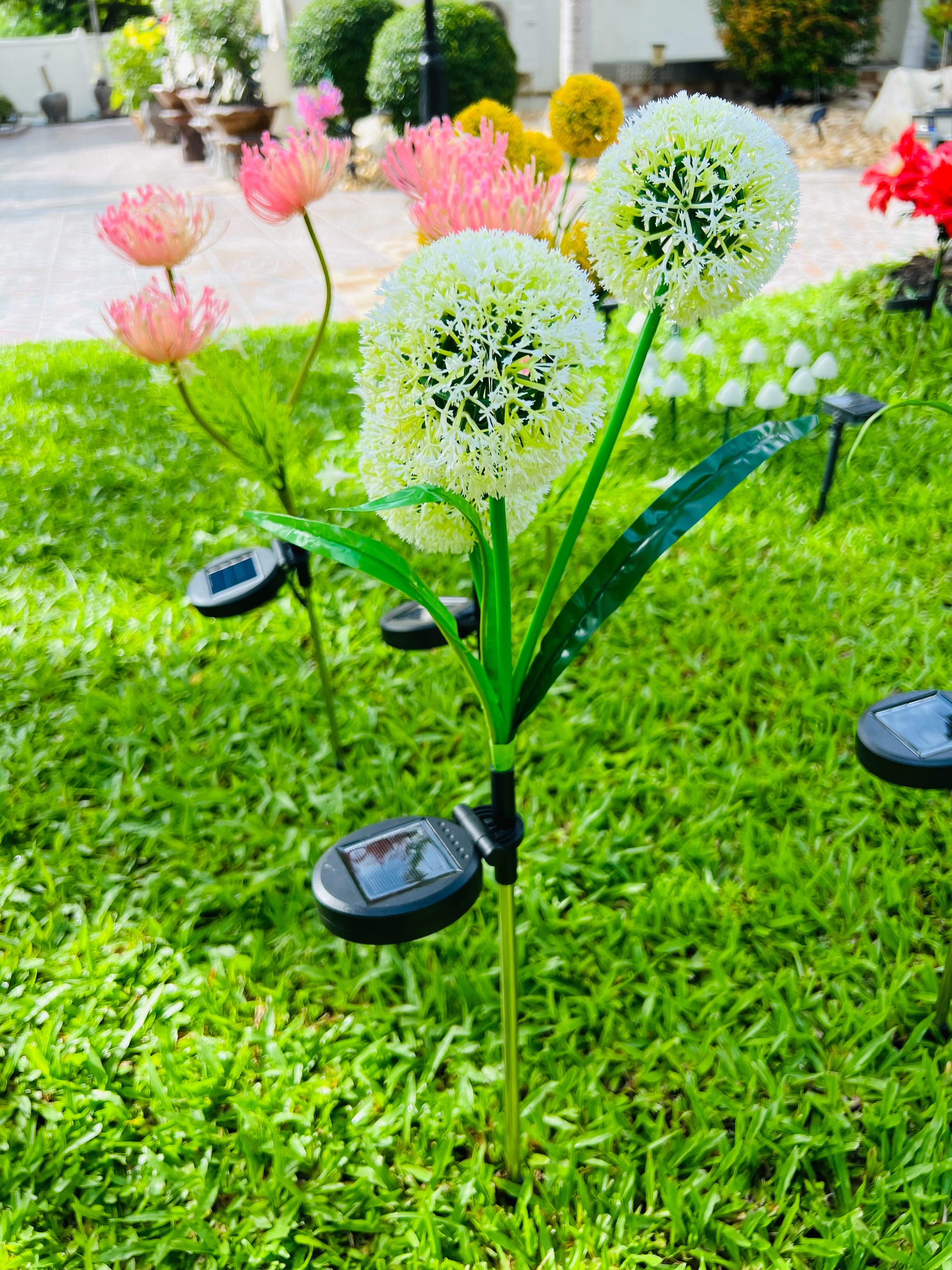 ไฟปักสนามโซล่าเซลล์ ทรงดอกไม้กลม สีขาว (แสง : หลากสี)(1 แถม 1)