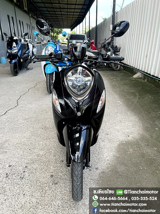 ★ดาวน์ 5,000★FINO ปี 65 สีดำ วิ่งน้อย เครื่องเดิมแน่น ใช้งานทนทาน ชุดสีสวยรอบคัน เครื่องดี ศูนย์ดี รถพร้อมใช้งาน ราคา 37,900