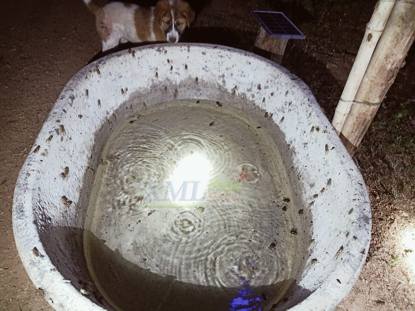 โคมไฟตุ้มโซล่าเซลล์ แบล็คไลท์ 150w. (แสงล่อแมลง)(แสงสีฟ้าน้ำทะเล)