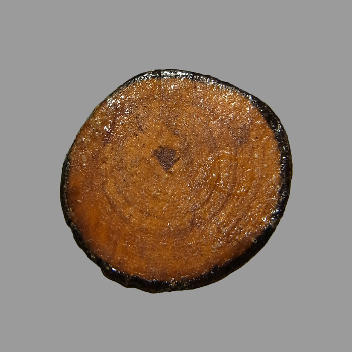 ปลัดขิก หลวงปู่หงษ์ วัดเพชรบุรี ปี2552