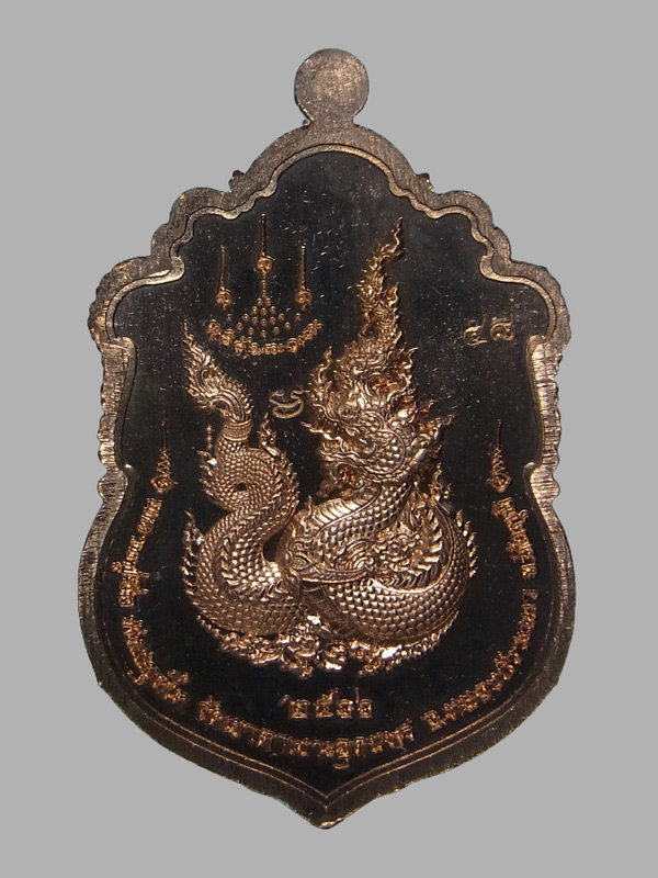 เหรียญเสมานาคราชบันดาลทรัพย์ หลวงปู่จื่อ วัดเขาตาเงาะอุดมพร ปี2566