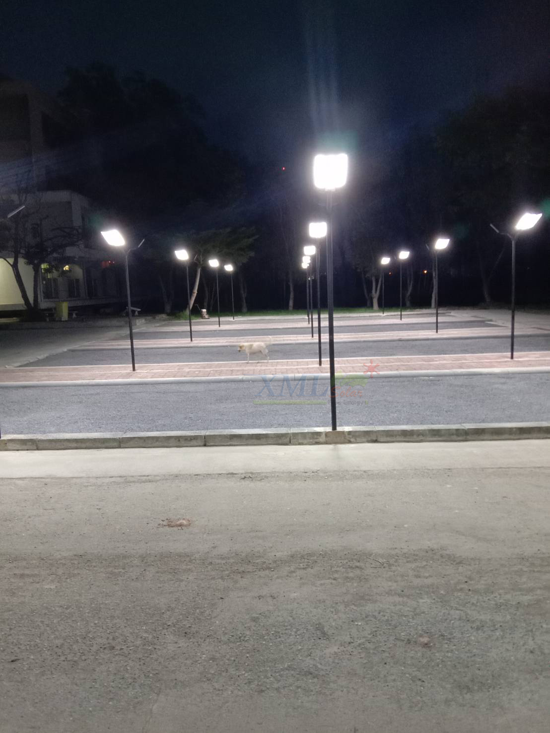 โคมไฟถนนโซล่าเซลล์ รุ่น ECO-BM24 15000W (24 ช่อง)(แสง : ขาว)