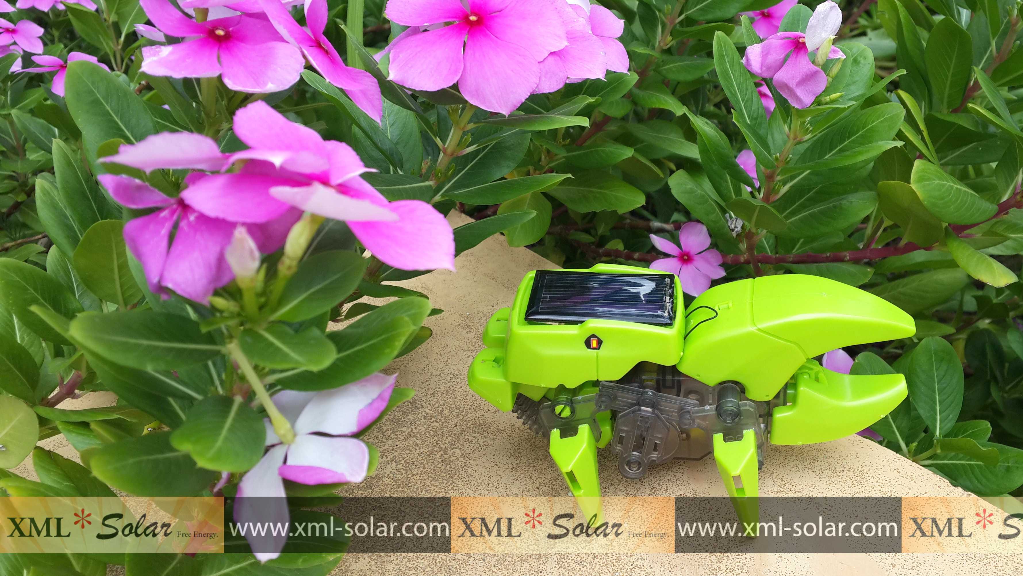 ของเล่นพลังงานแสงอาทิตย์ รุ่น 4 -in-1 (สีเขียว) (1 แถม 1)