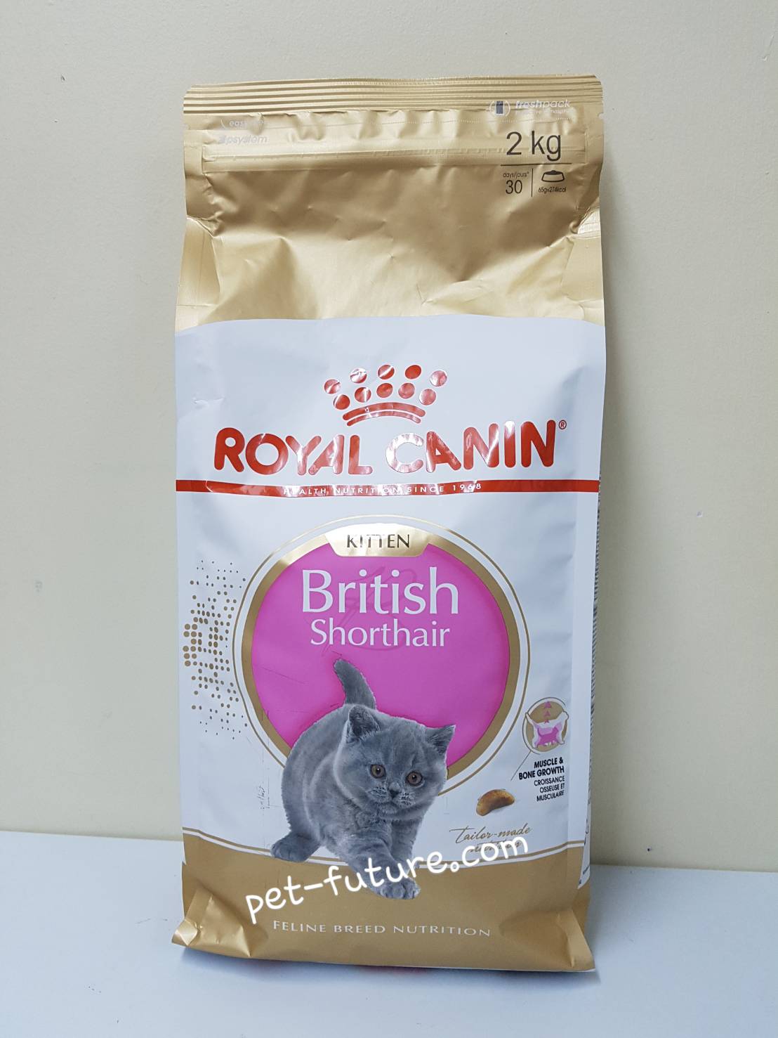 Kitten British Shorthair 2 kg.Exp.25/07/21 ลูกแมวบริททิส ชอร์ทแฮร์ (พร้อมส่ง)